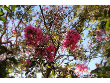 IMG 20220908 162314.jpg