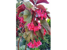 IMG 20220908 162637.jpg