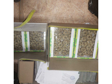 ����������� viber 2022-10-25 19-47-08-306.jpg