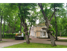 IMG 20220617 173854.jpg