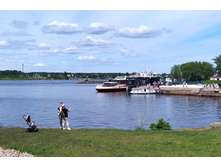 IMG 20220618 131527.jpg