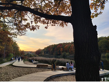 IMG 20200927 172415.jpg