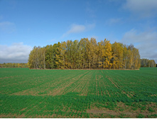 20221008 ������� ��� 110038.jpg