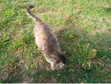 20221016 ������� 130654.jpg