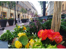 IMG 20220619 222030.jpg