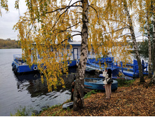 IMG 20221008 133237.jpg