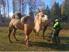 20221015 �����BikeTrip 112743.jpg