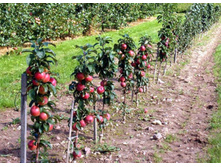 ������ ������� ������ �3.jpg