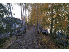 IMG 20221008 173718.jpg