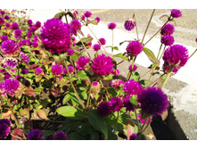 IMG 20220914 142435.jpg