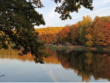 IMG 20200927 165701.jpg