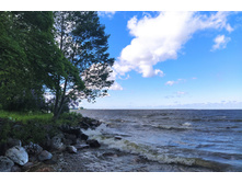 IMG 20220619 143000.jpg