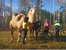 20221015 �����BikeTrip 113210.jpg