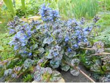 ��������� ������