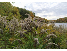 IMG 20221002 143346.jpg