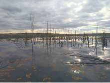 20221015 �����BikeTrip 130934.jpg