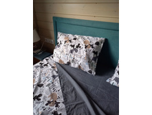 ��������.  ��������. ����� � ���������������� ���������� �����.