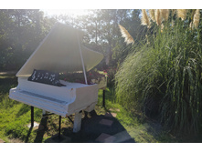 IMG 20220908 163147.jpg