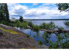 IMG 20220621 132153.jpg