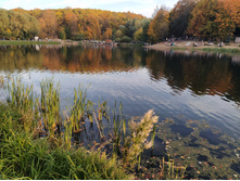 IMG 20200927 170124.jpg