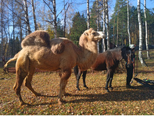 20221015 �����BikeTrip 113009.jpg