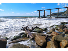 IMG 20220914 132812.jpg