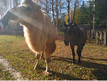 20221015 �����BikeTrip 113034.jpg