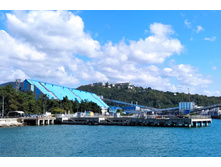 IMG 20220908 141610.jpg