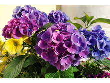 IMG 20220621 182245.jpg