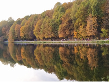 IMG 20200927 163538.jpg