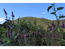 IMG 20220914 121220.jpg