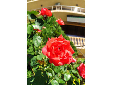 IMG 20220914 142338.jpg