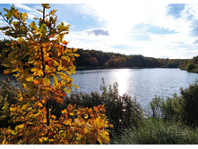 IMG 20221002 150209.jpg