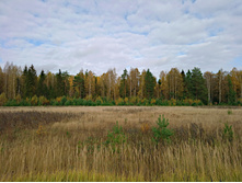 20221008 ������� ��� 130603.jpg