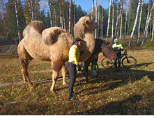 20221015 �����BikeTrip 113155.jpg