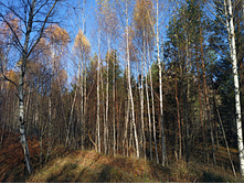 20221022 �� ����� ����� �� ������� 111802.jpg