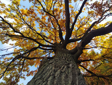 IMG 20220925 150548.jpg