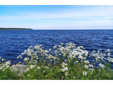 IMG 20220618 150826.jpg