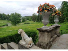 IMG 20220617 140018.jpg