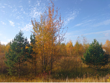 20221016 ������� 100231.jpg