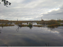 20221015 �����BikeTrip 133151.jpg