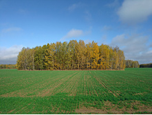 20221008 ������� ��� 110054.jpg