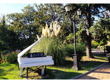 IMG 20220908 162552.jpg