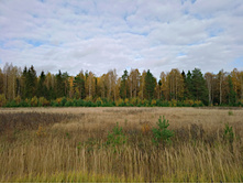 20221008 ������� ��� 130601.jpg