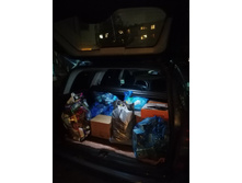 ��������.