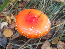 20221015 �����BikeTrip 131143.jpg