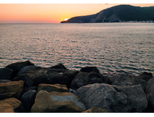 IMG 20220905 184621.jpg