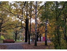 IMG 20221002 173043.jpg