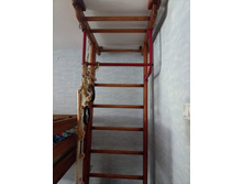 IMG 20220801 123922.jpg