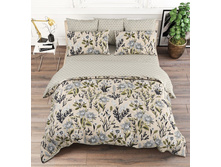 ����� ������ 220 ��